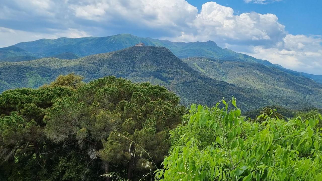 Ca La Pauleta Βίλα Sant Hilari Sacalm Εξωτερικό φωτογραφία