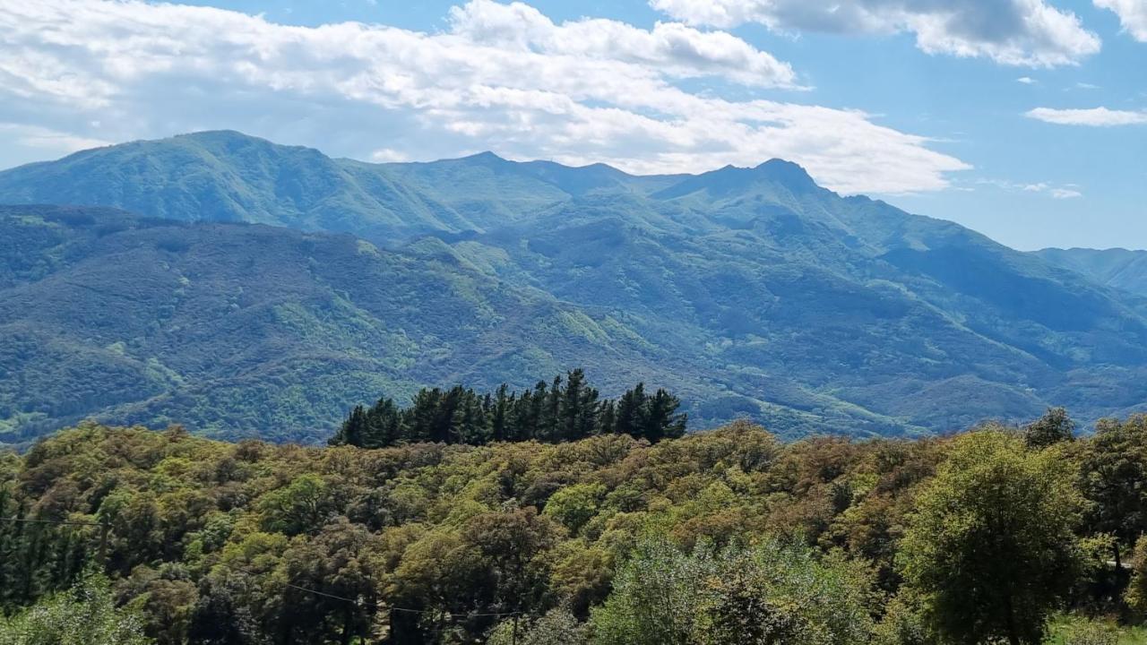 Ca La Pauleta Βίλα Sant Hilari Sacalm Εξωτερικό φωτογραφία