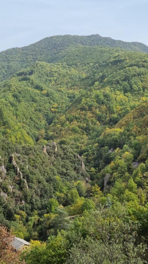 Ca La Pauleta Βίλα Sant Hilari Sacalm Εξωτερικό φωτογραφία