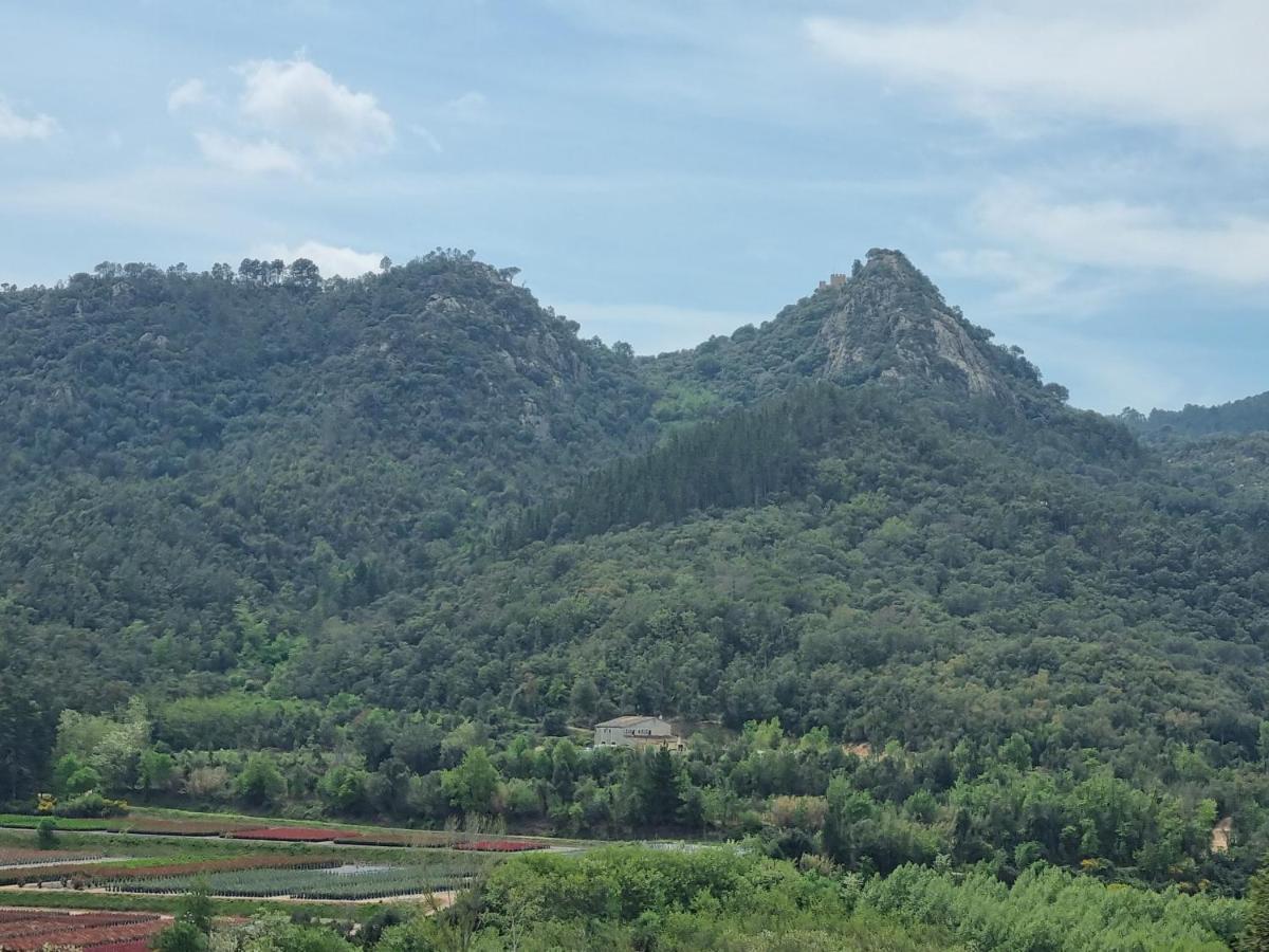 Ca La Pauleta Βίλα Sant Hilari Sacalm Εξωτερικό φωτογραφία